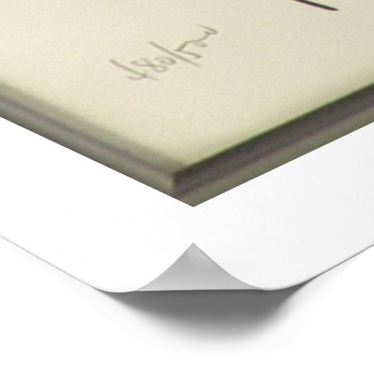 WC Fields Pool Poster (Ecke)