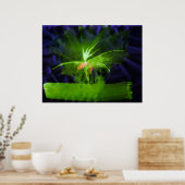 WDV - 068 - Blume Poster (Küche)