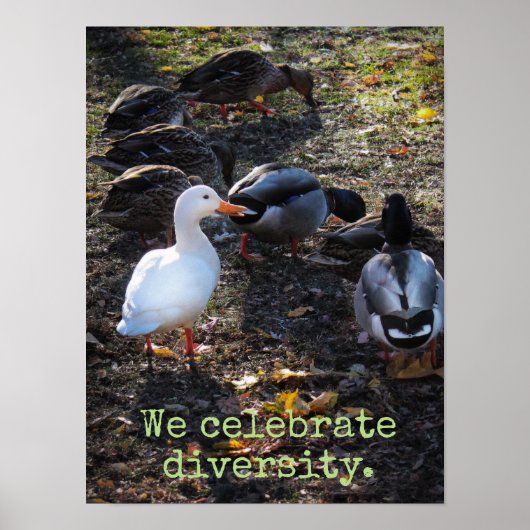 We Celebrate Diversity Poster Print (Vorne)