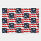 We The Silly Geese 250th Funny Celebration Geschenkpapier Set (Vorderseite 3)