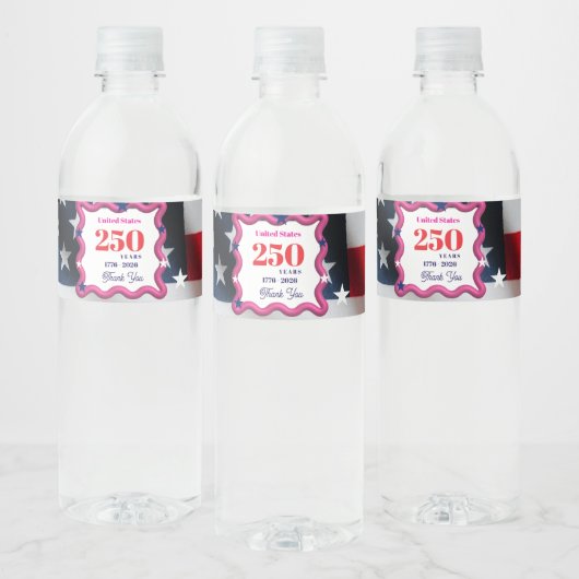 We The Silly Geese 250th Funny Celebration Wasserflaschenetikett (Flaschen)