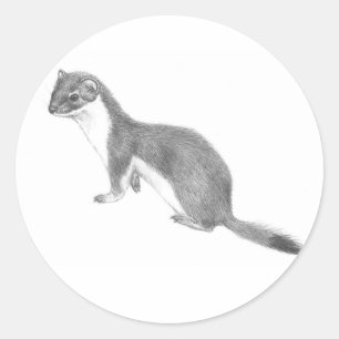 Weasel-Aufkleber Runder Aufkleber
