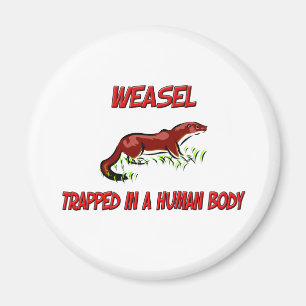 Weasel eingeschlossen in einem menschlichen Körpe Magnet