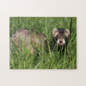 Weasel Garden Puzzle - Sable Ferret (Horizontal)