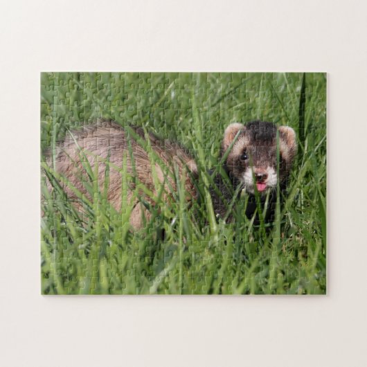 Weasel Garden Puzzle - Sable Ferret (Horizontal)