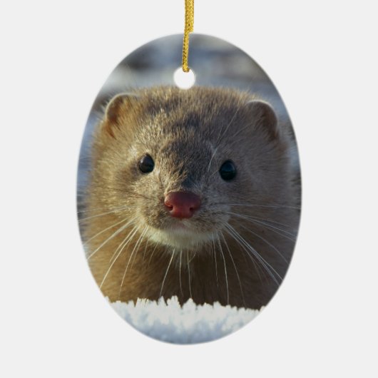 Weasel Keramik Ornament (Vorne)
