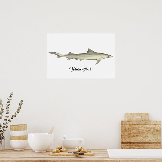 Weasel Shark Poster (Küche)