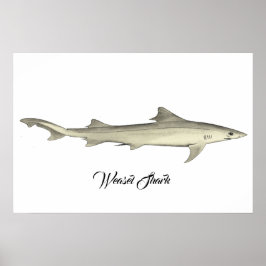 Weasel Shark Poster