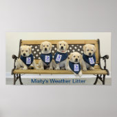 Weather Bench Poster (Vorne)