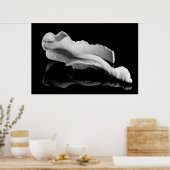 Weatherd Conch Poster (Küche)