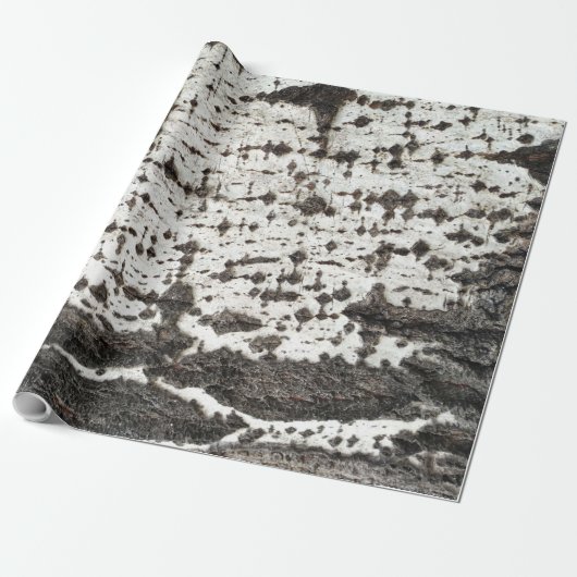 Weathered birch trunk geschenkpapier (Ungerollt)