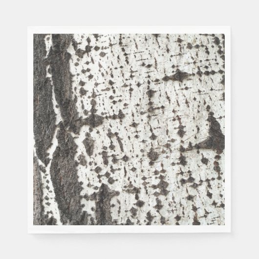 Weathered birch trunk serviette (Vorderseite)