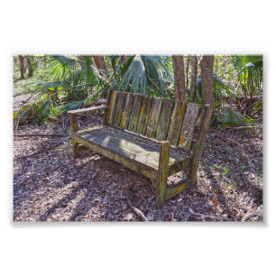 Weathered Park Bench, Dauphin Island Fotodruck