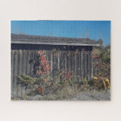 Weathered Shed with Encroaching Green Puzzle (Horizontal)