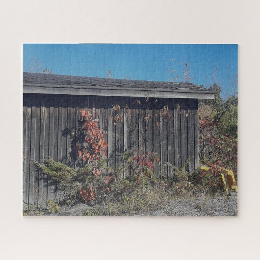 Weathered Shed with Encroaching Green Puzzle (Horizontal)