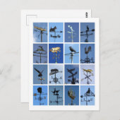 Weathervanes Postkarte (Vorne/Hinten)