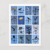 Weathervanes Postkarte (Vorderseite)