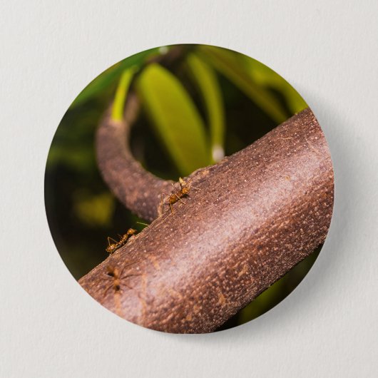 Weaver Ants on a Wood Button (Vorderseite)
