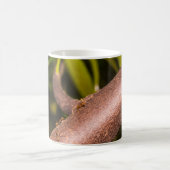 Weaver Ants on a Wood Kaffeetasse (Mittel)