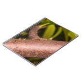 Weaver Ants on a Wood Notizblock (Linke Seite)