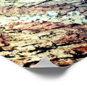 Weaver Bird Poster - R - 1948 (Ecke)