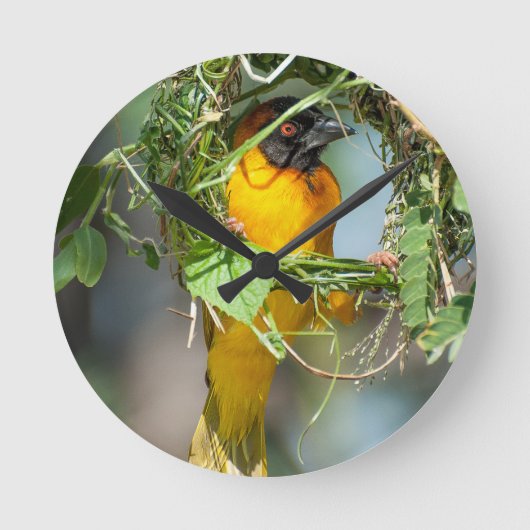 Weaver Bird Runde Wanduhr (Vorderseite)
