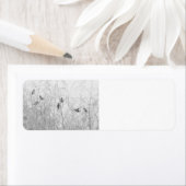 Weaver Birds (Insitu)