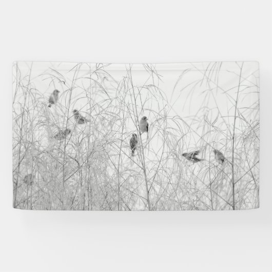Weaver Birds Banner (Horizontal)