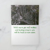 Web heilen karte (Innenseite)