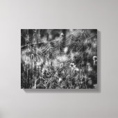 Web-Natur aus Schwarz und Weiß Leinwanddruck (Vorderseite)