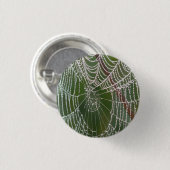 Web - Schaltfläche Button (Vorne & Hinten)