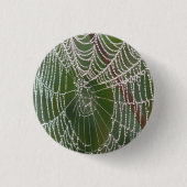 Web - Schaltfläche Button (Vorderseite)