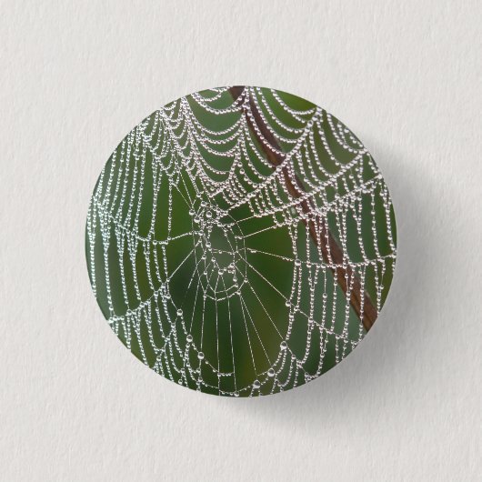 Web - Schaltfläche Button (Vorderseite)