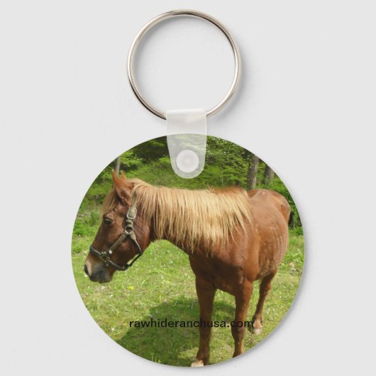 Web-Schlüsselanhänger Schlüsselanhänger (Vorderseite)