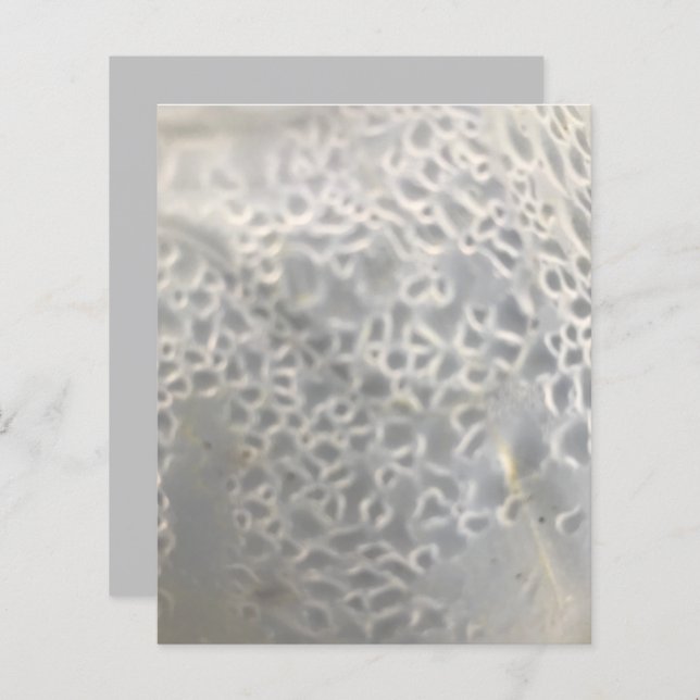 Web Scrapbook Paper (Weißes Licht, graue Blasen) (Vorne/Hinten)