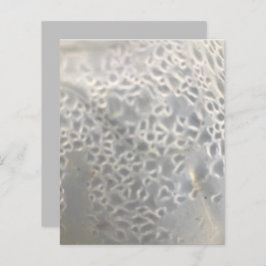 Web Scrapbook Paper (Weißes Licht, graue Blasen)