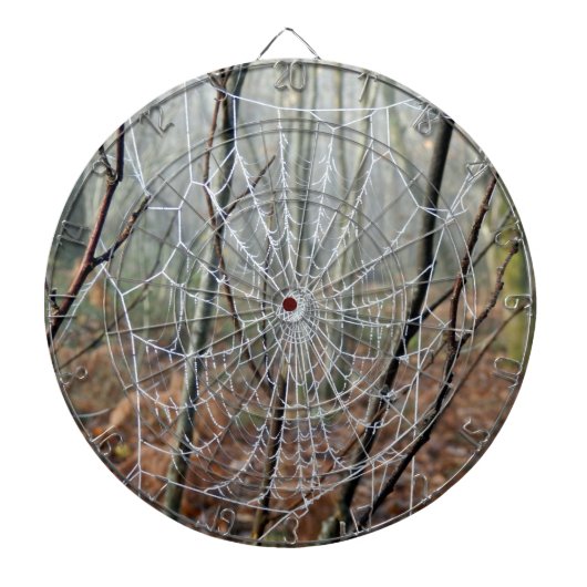 Web-Seite des Spiders Dartscheibe (vorne)