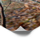 Web-Seite des Spinnenplakats des Europäischen Gart Poster (Ecke)