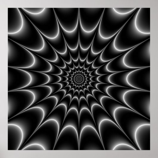 Web Star in Schwarz und Weiß Poster (Vorne)