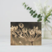 Web und Wasser in Sepia Postkarte (Stehend Vorderseite)