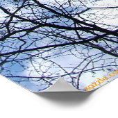 WEBBED SKY. POSTER (Ecke)