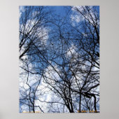 WEBBED SKY. POSTER (Vorne)