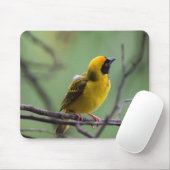 Weber, Vogel, Gelber Vogel Mousepad (Mit Mouse)