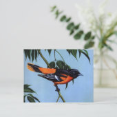 Weber's Baltimore Oriole Postkarte (Stehend Vorderseite)