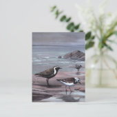 Webers Regenpfeifer u. Turnstones Postkarte (Stehend Vorderseite)