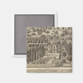 Webster, Badger Residenzen Magnet (Vorderseite/Rückseite)