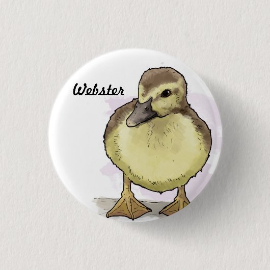 Webster-Knopf Button (Vorderseite)