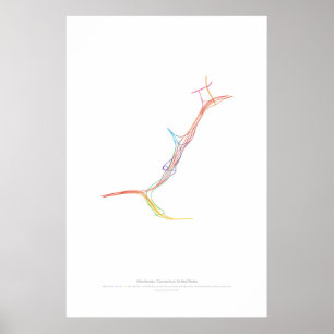 Wechsel-Choreographie: Manchester, CT, US Poster