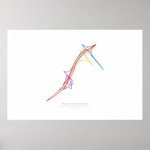 Wechsel-Choreographie: Shreveport, LA, US 1 Poster