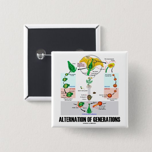 Wechsel der Generationen (Blumen-Lebenszyklus) Button (Vorne & Hinten)